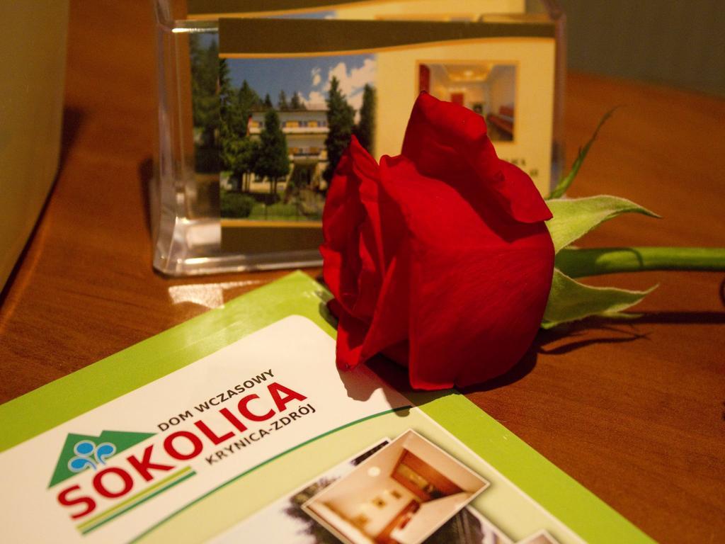 Dom Wczasowy Sokolica Krynica Zdroj Εξωτερικό φωτογραφία